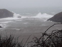 From the solva harbour to St elvirs and Black rock Sat 9 March 2020